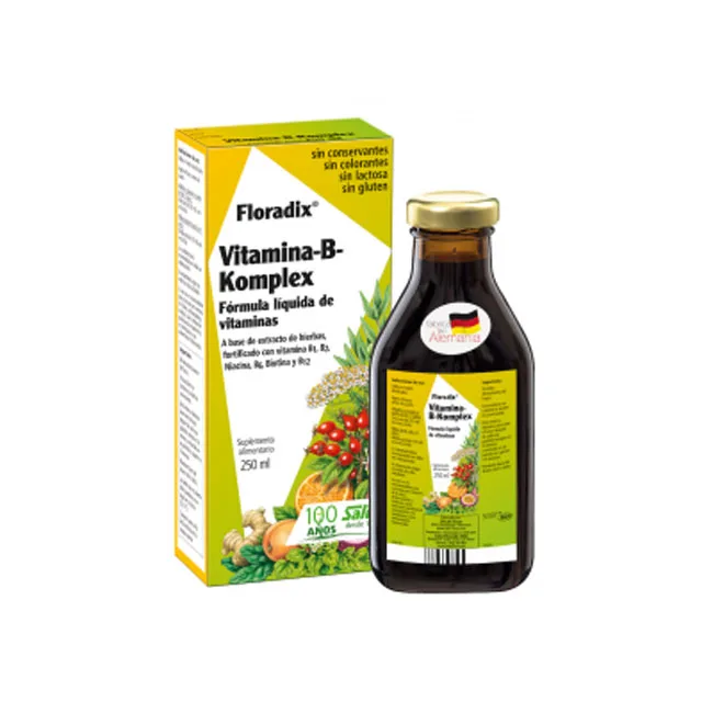 Floradix Vitamina B1 + B2+ Niacina+ B6+ Biotina + B12 250 ml