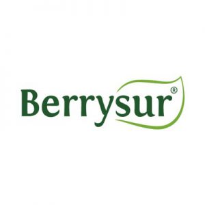 Berrysur