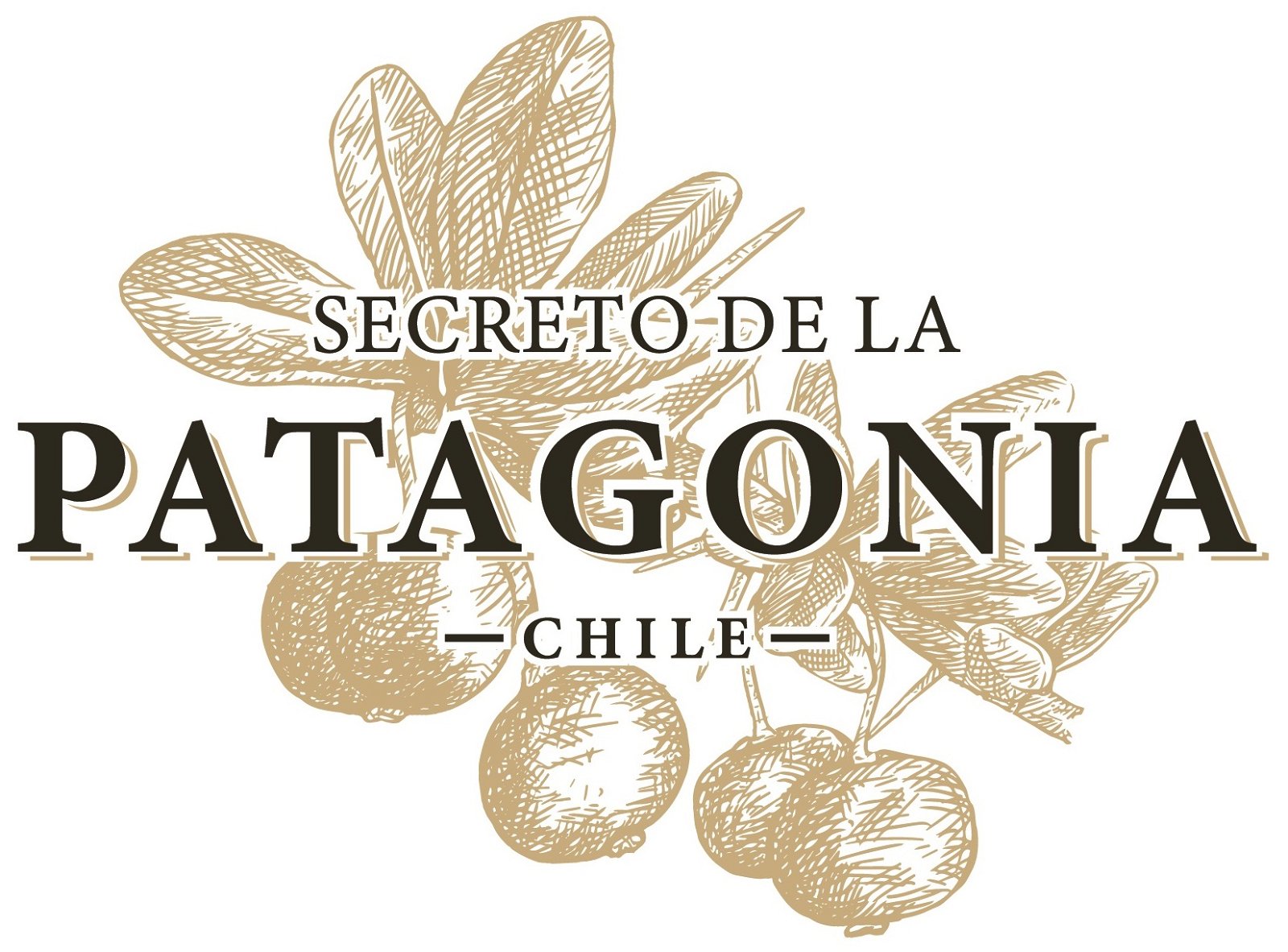 secreto-de-la-patagonia