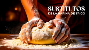 sustitutos