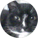 Viviana Baeza profile picture